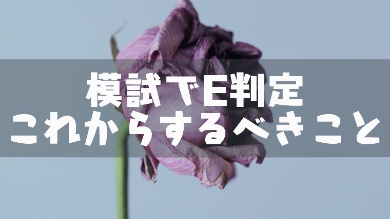 模試がe判定の高3 浪人生がやるべきこと 逆転するための勉強法 塾講師のおもうこと